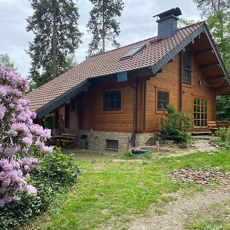 Waldhaus Eichhoernchen Bad Schmiedeberg Kültér fotó