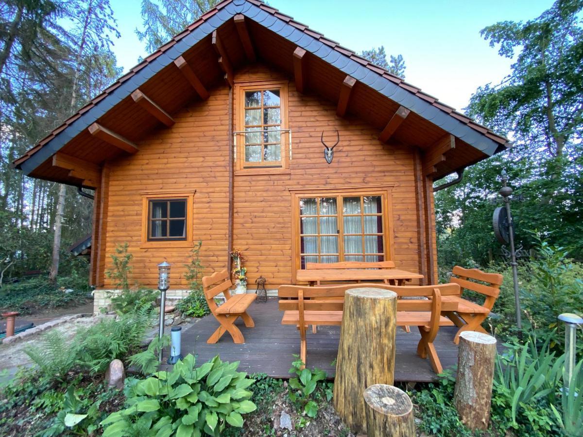 Waldhaus Eichhoernchen Bad Schmiedeberg Kültér fotó
