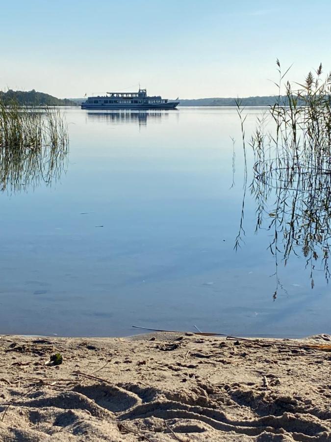 Waldhaus Eichhoernchen Bad Schmiedeberg Kültér fotó