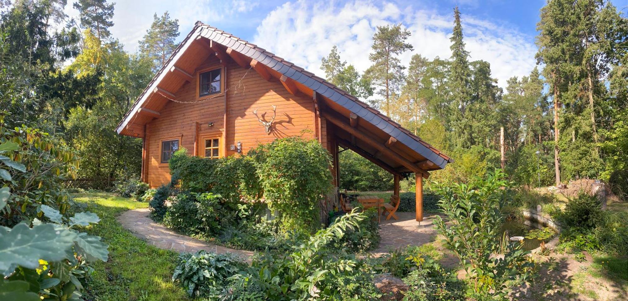 Waldhaus Eichhoernchen Bad Schmiedeberg Kültér fotó