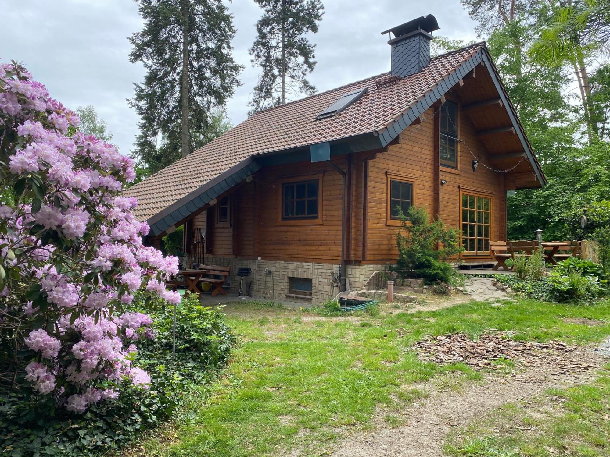 Waldhaus Eichhoernchen Bad Schmiedeberg Kültér fotó